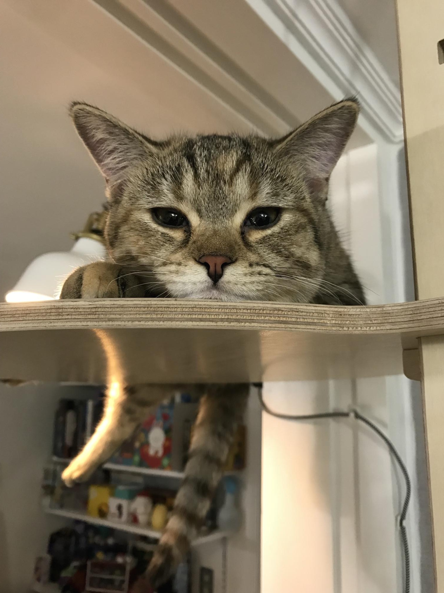 3D Client Programmer C++11 stdmutex (lock_guard, try_lock, try