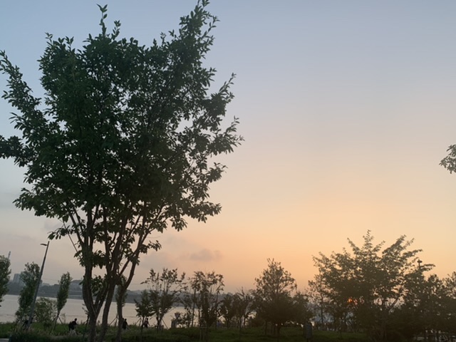K-morning