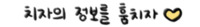 치자의 정보를 훔치자