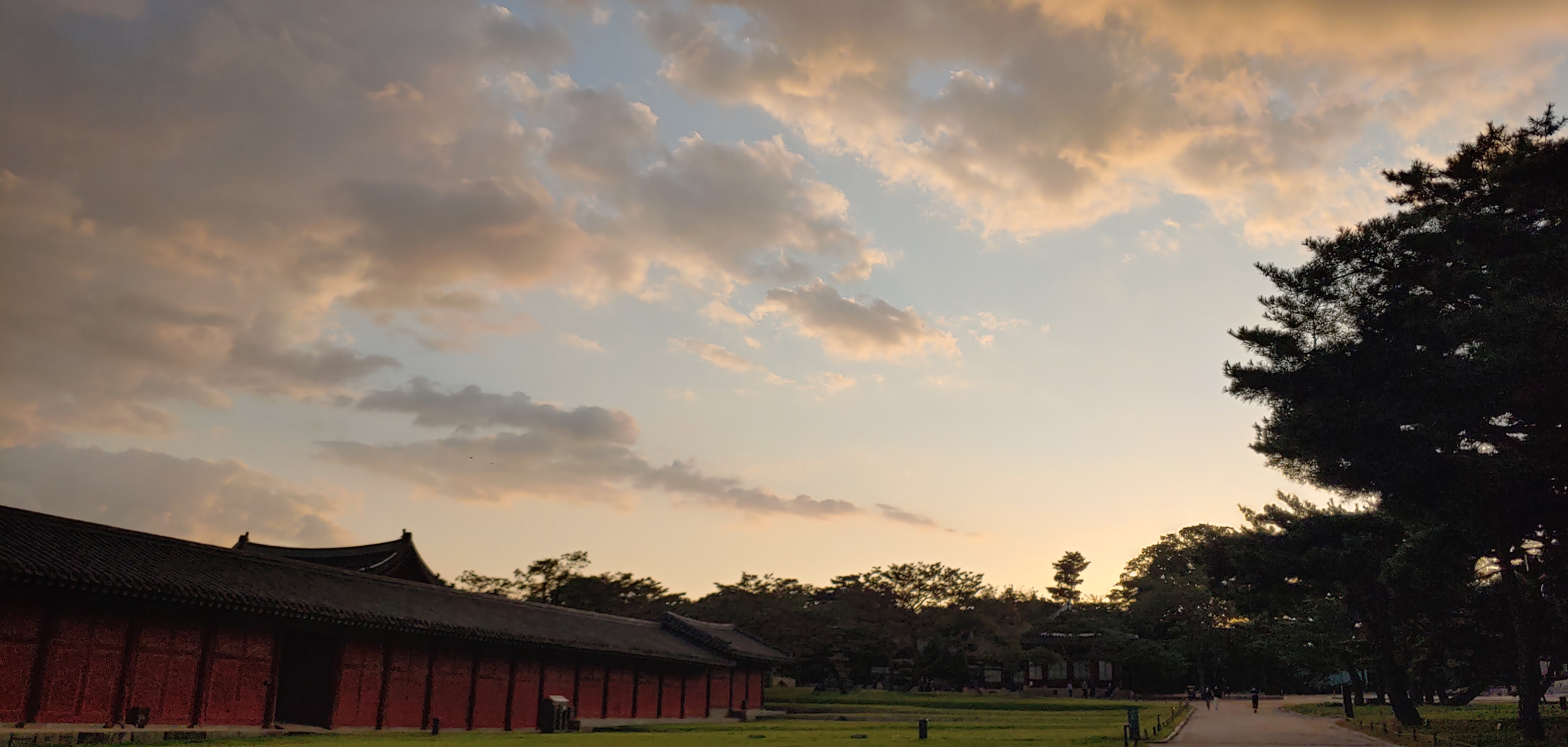 아자리아의 건강 이야기