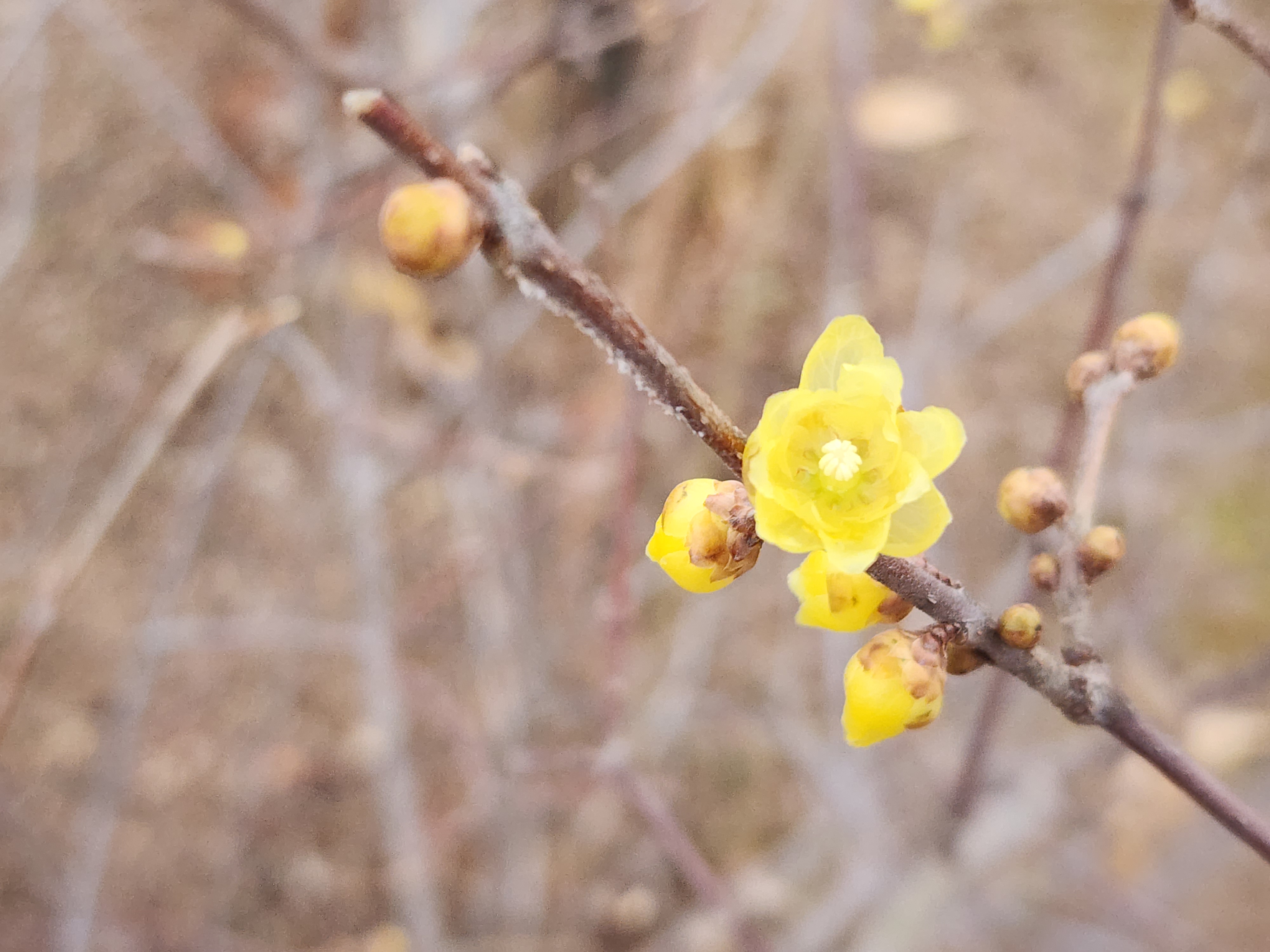 청산은 나를 보고~~