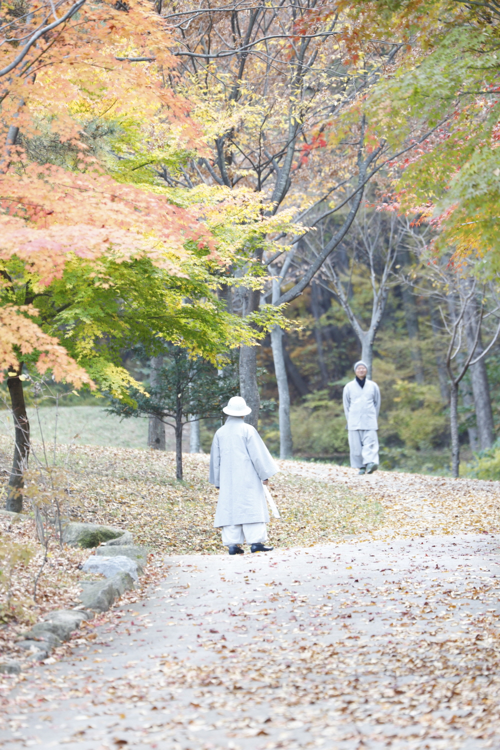 돌도사 도림사 보장천추 석각