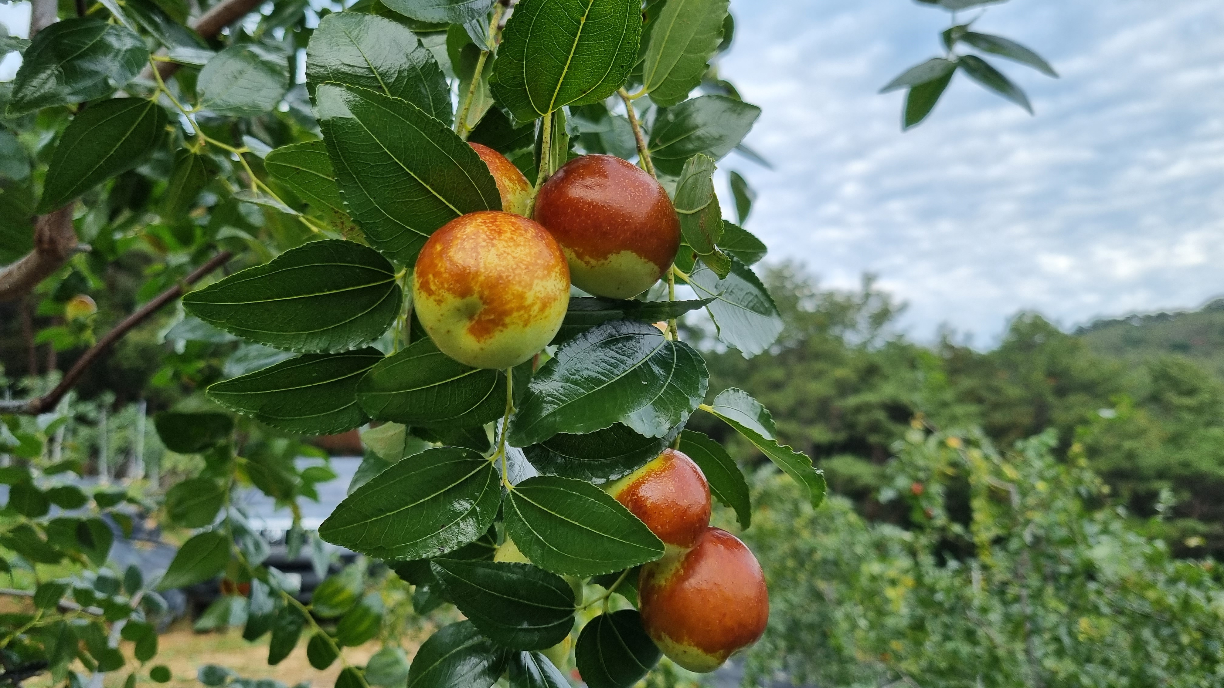 어  때  요 !