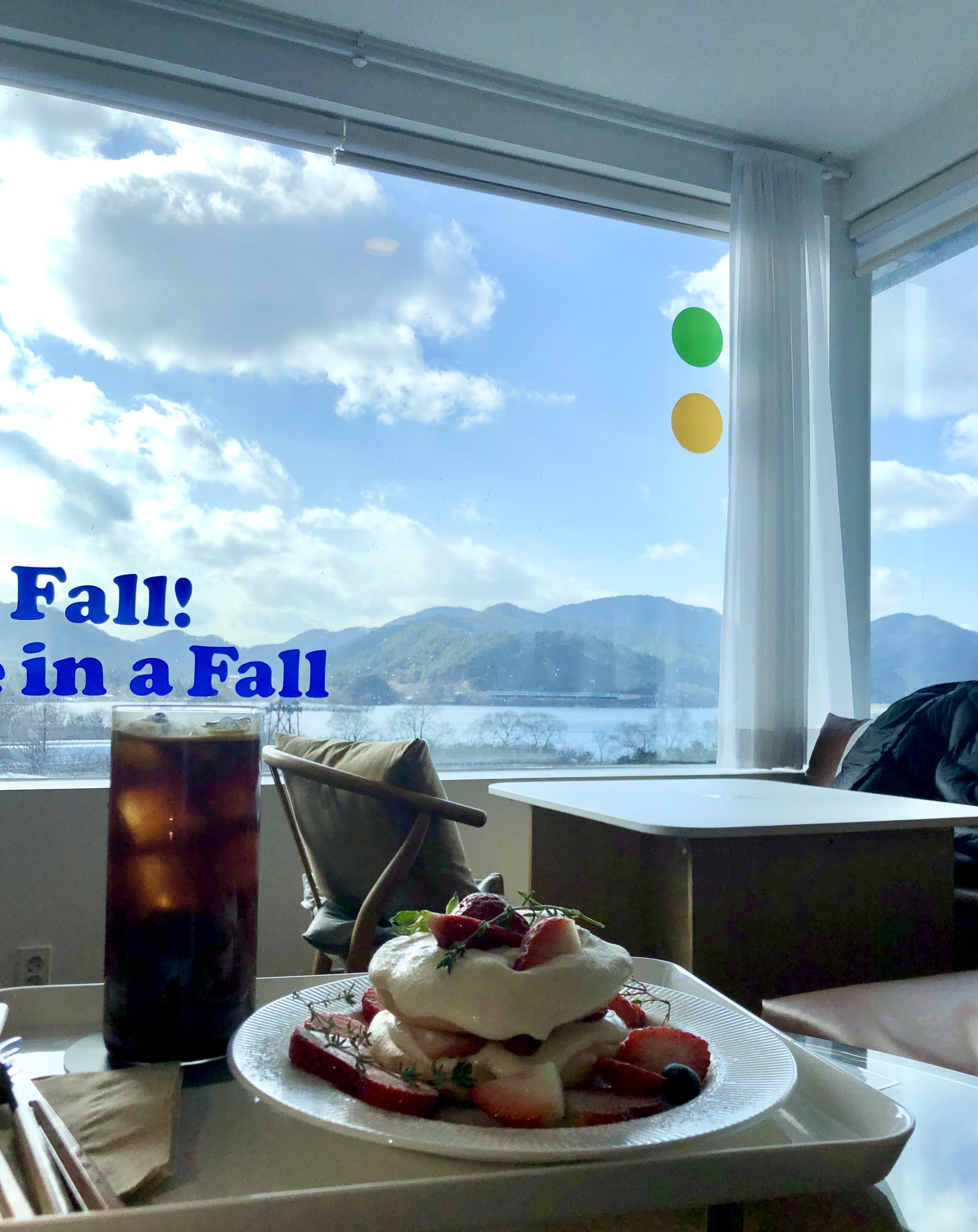 청개구리의 일상