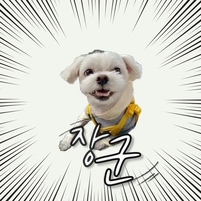 장군이랑