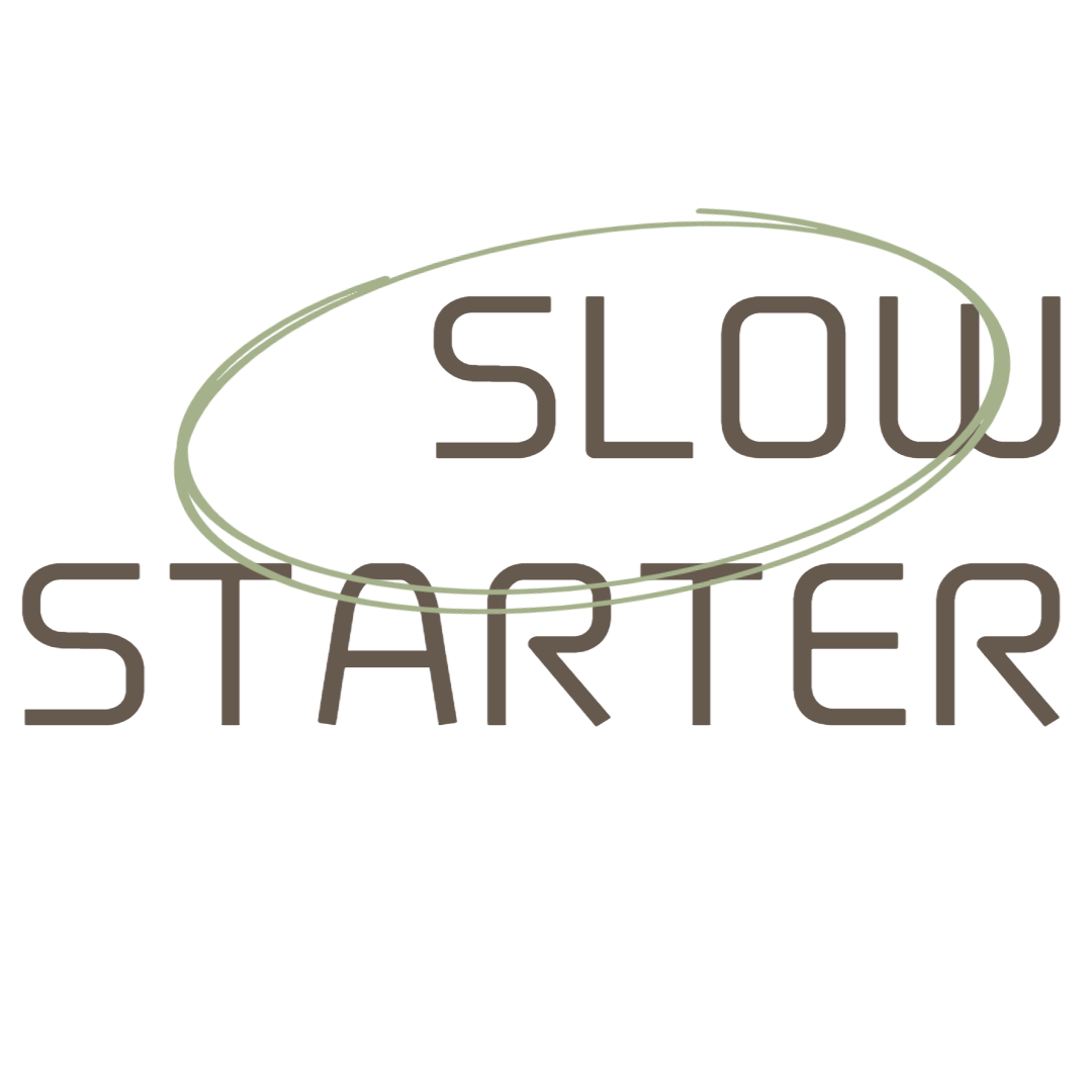 슬로 스타터 - slow starter